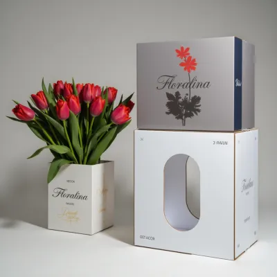 AI-Generated packaging for Shipping box