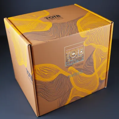 AI-Generated packaging for Mailer box