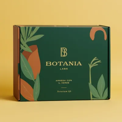 AI-Generated packaging for Mailer box