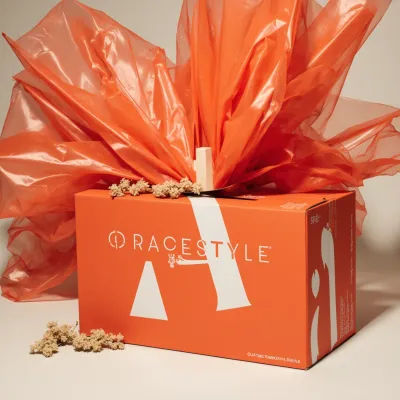 AI-Generated packaging for Shipping box