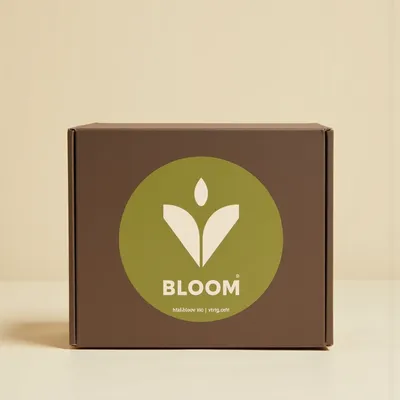 AI-Generated packaging for Shipping box