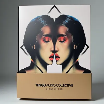 AI-Generated packaging for Vinyl album cover