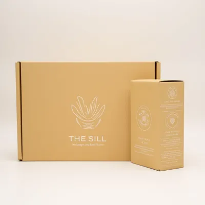 AI-Generated packaging for Mailer box