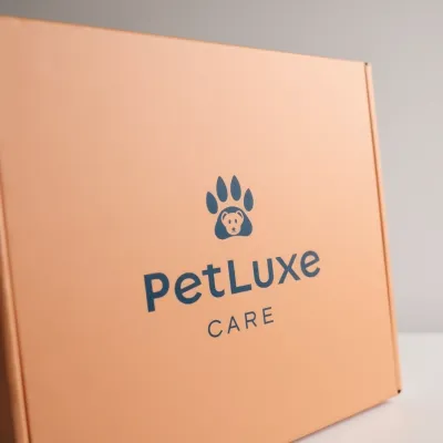 AI-Generated packaging for Mailer box