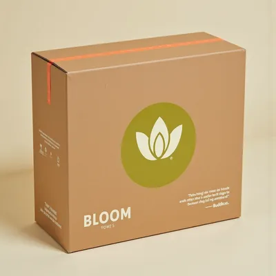 AI-Generated packaging for Shipping box