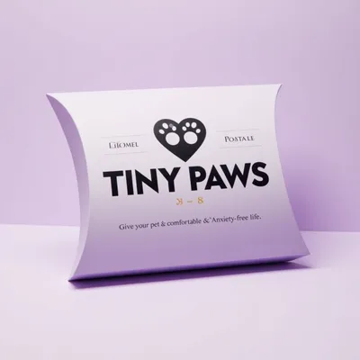 AI-Generated packaging for Pillow box