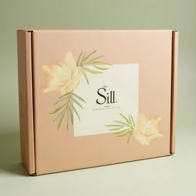 AI-Generated packaging for Mailer box