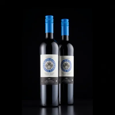 AI-Generated packaging for Bordeaux wine bottle in the Alcoholic Beverages industry