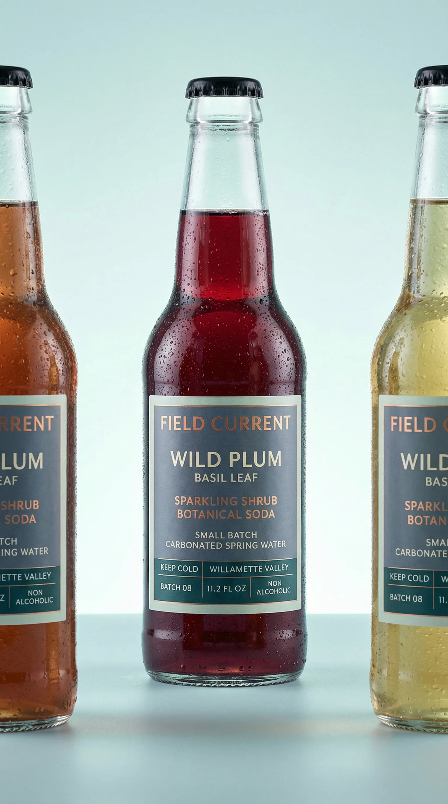 Chilled Shrub Soda Trio public scene for Beverage Product Photography Ideas