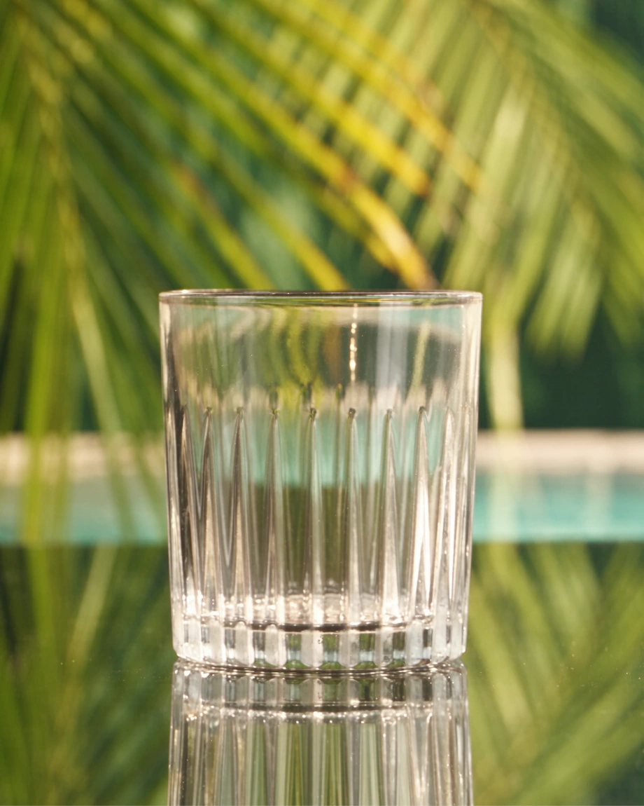 Moodboard reference: empty glass against sunlit palm leaves
