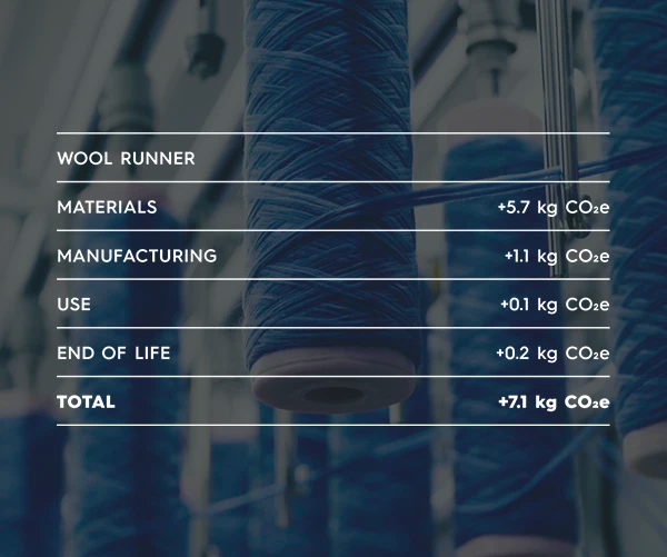 Carbon Footprint of Wool Runner, Allbirds